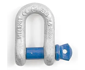 Shackles Screw pin D-Shackle - Standard